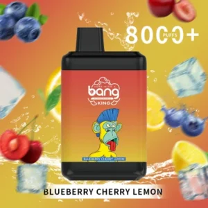 Bang King 8000 Puffs 0% 2% 3% 5% Nicotine Disposable Vape Wholesale - BoatVape - 21