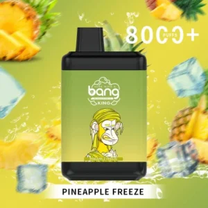 Bang King 8000 Puffs 0% 2% 3% 5% Nicotine Disposable Vape Wholesale - BoatVape - 20