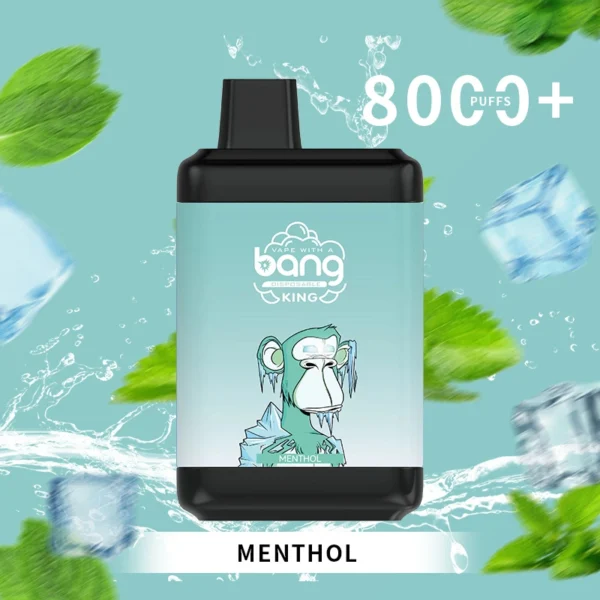 Bang King 8000 Puffs 0% 2% 3% 5% Nicotine Disposable Vape Wholesale - BoatVape - 2