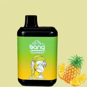 Bang King 8000 Puffs 0% 2% 3% 5% Nicotine Disposable Vape Wholesale - BoatVape - 19