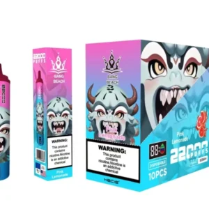 Bang Beach 22000 Puffs 0% 2% 3% 5% Recarregável com baixo teor de nicotina em massa Compre caneta Vape descartável no atacado - BoatVape - 16