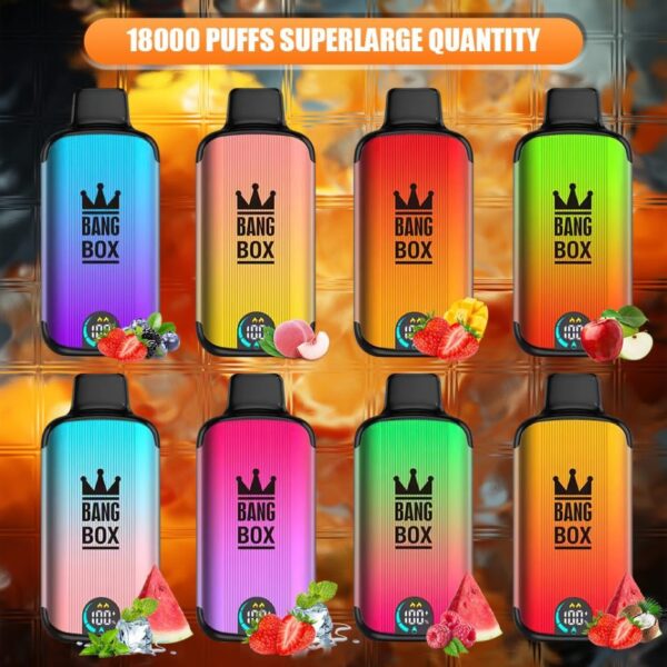 Bang Box 18000 Puffs LED Display Screen 0% 2% 3% 5% Low Nicotine Bulk Buy Rechargeable Disposable Vape Pen Wholesale - BoatVape - 1