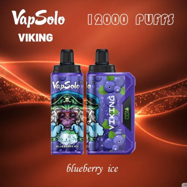 VapSolo Viking 12000 Puffs 2% 5% Low Nicotine Rechargeable Disposable Vapes Pen Bulk Buy Wholesale - BoatVape - 11