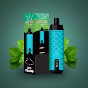 Al Fakher Crown Bar Pro 8000 Puffs Pantalla LED Vapes desechables recargables con bajo contenido de nicotina Pluma Compra a granel - Stock de almacén europeo - BoatVape - 13